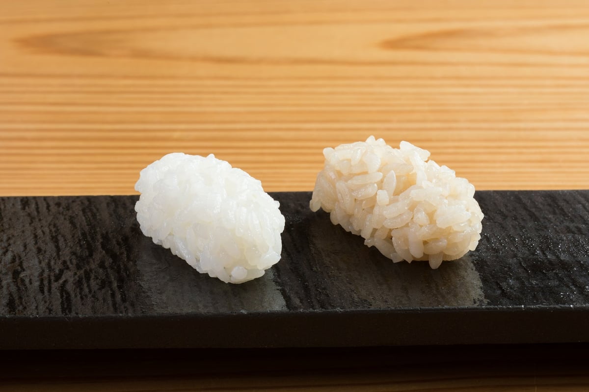 スシローグループの寿司居酒屋「鮨 酒 肴 杉玉」が長野県に初出店！ – photo 7