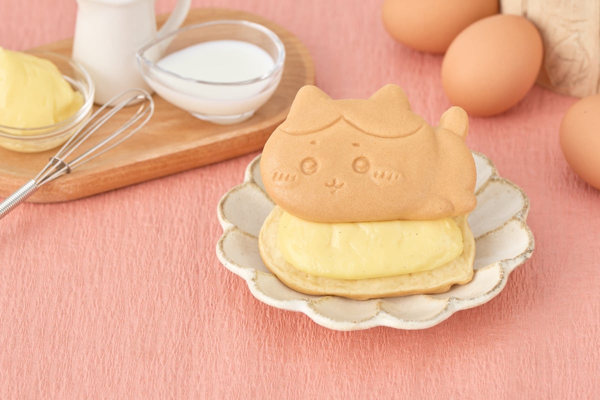 ハチワレ(クリーム)