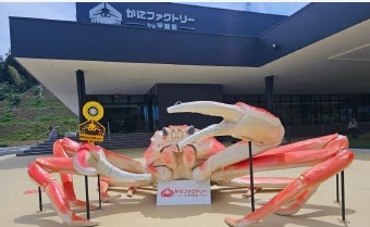 玄関前撮影スポット