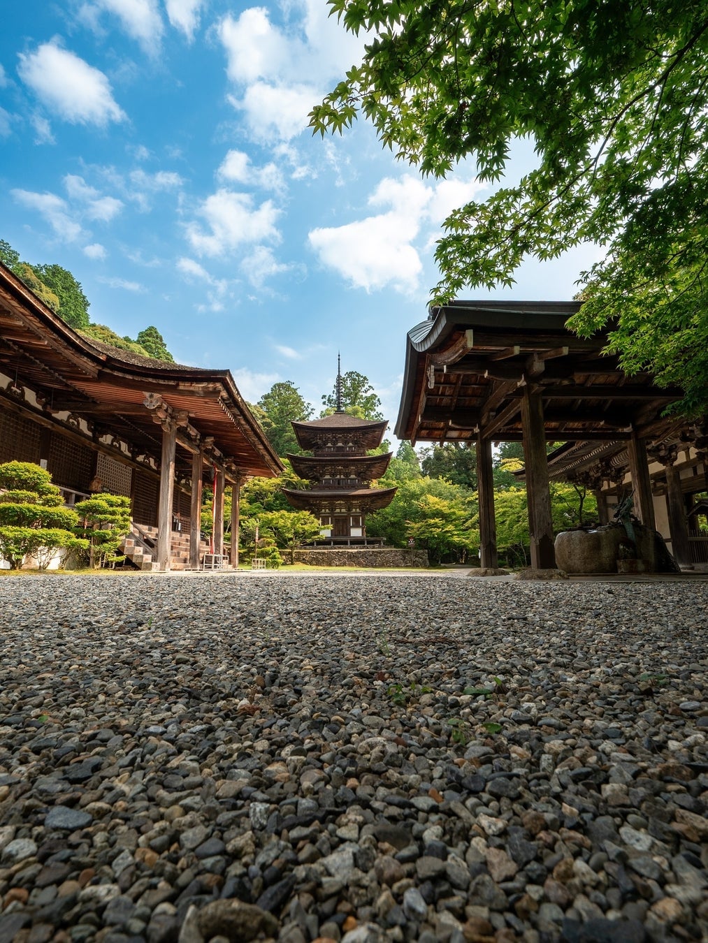 国宝の新緑を味わう湖東三山・西明寺で一日限りの宿坊カフェ開催 7月5日〜