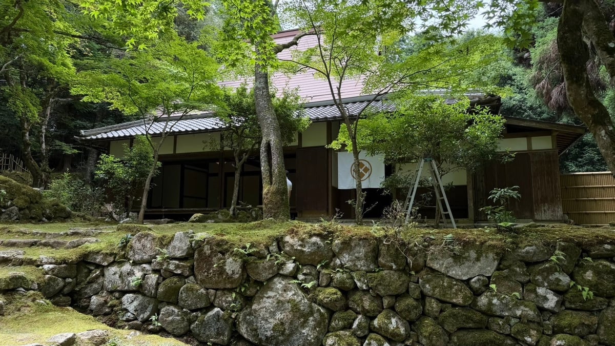 国宝の新緑を味わう湖東三山・西明寺で一日限りの宿坊カフェ開催 7月5日〜