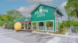 大阪・服部緑地にALOHA CAFE Pineappleの新パーク型店舗がオープン！公園で楽しむハワイアンカフェ体験