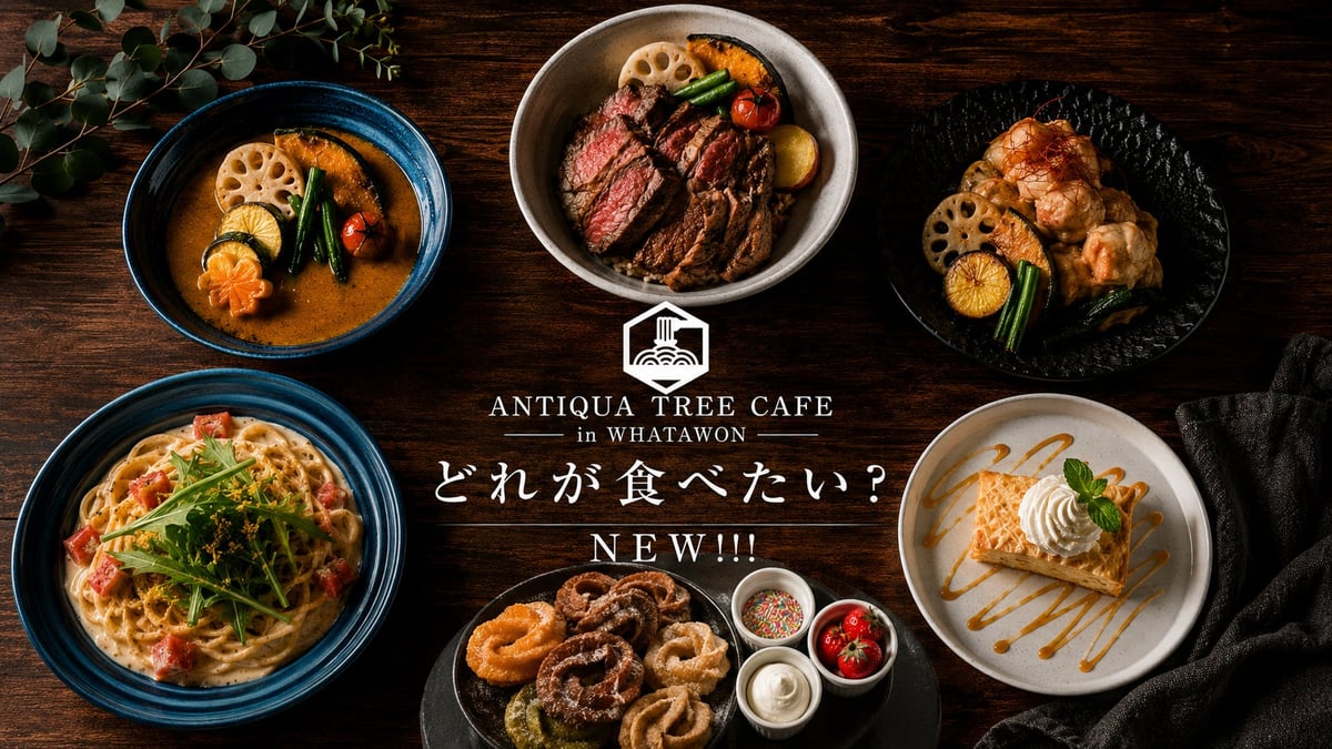 antiquaのライフスタイルカフェ『ANTIQUA TREE CAFE』がグランドメニューを刷新 新メニュー登場