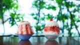 12種の個性派かき氷フェア開催中 Ochobohan chano-ma 池袋 chano-ma 二子玉川 和カフェyusoshi 立川など