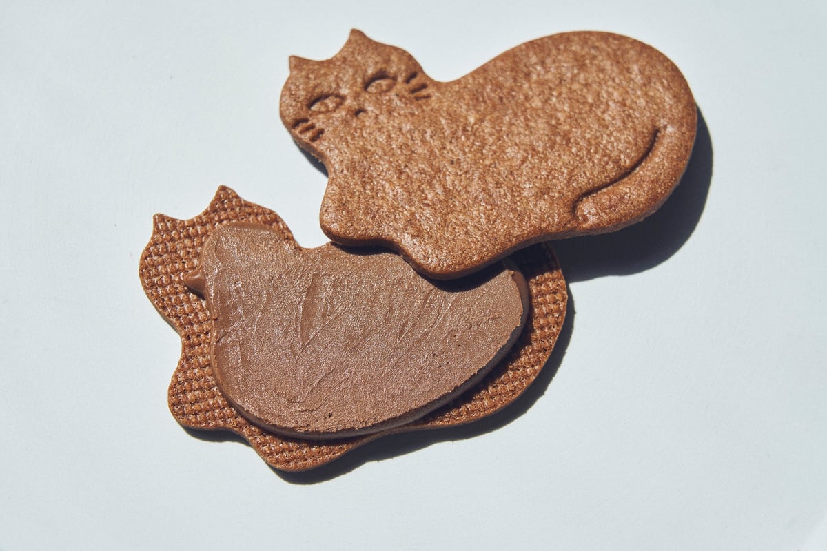 フェアリーケーキフェア“ひとりじめチョコミント”、期間限定発売 7月2日〜