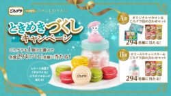 gorogura dalloyau collaboration campaign 2026 01