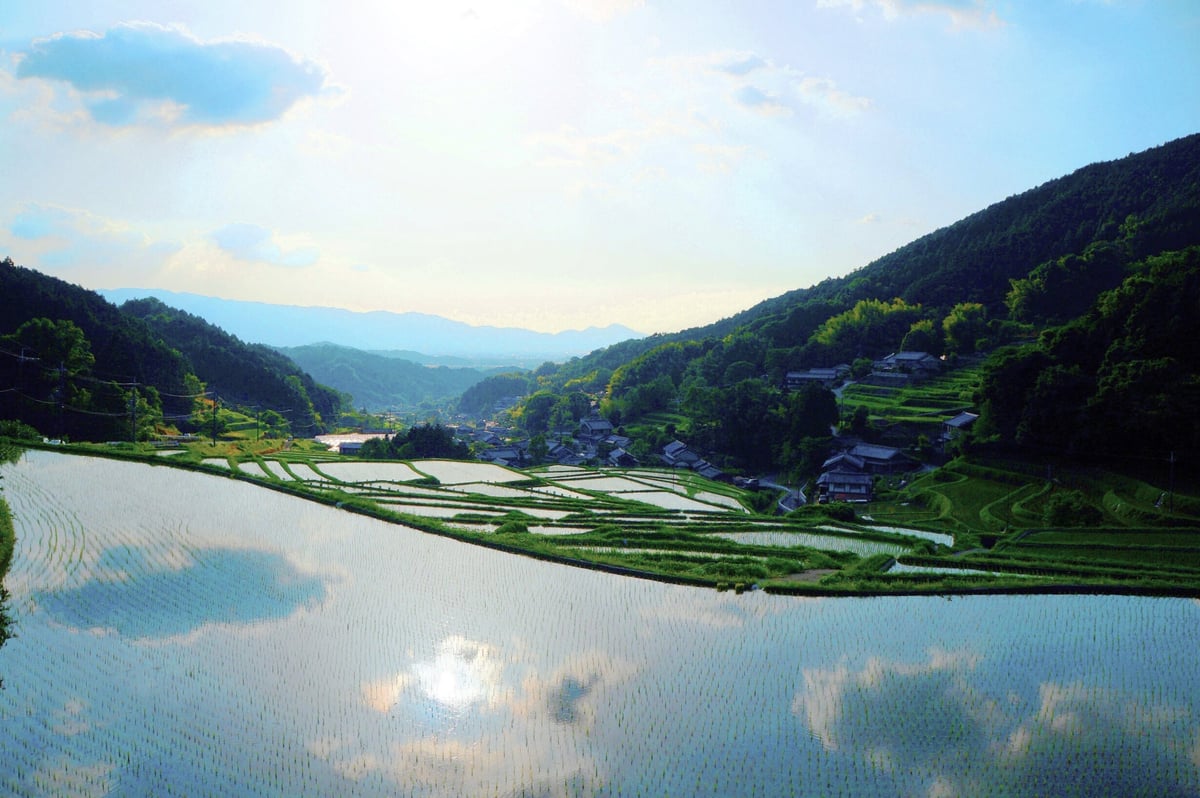 明日香村らしい情景が広がる細川の棚田