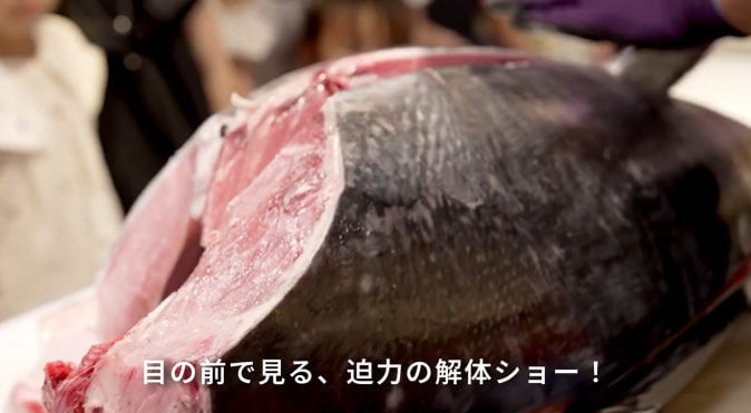 30kgの『生本まぐろ』を職人が目の前で豪快解体！激レア部位「カマトロ」「ほほ肉」も登場！かっぱ寿司、名古屋エリア新店オープン記念 国産生本まぐろ解体ショー開催 7月26日〜