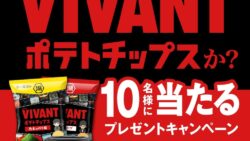 湖池屋×日曜劇場『VIVANT』コラボポテトチップスが全国コンビニで登場