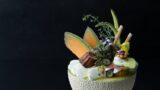 日本初！果房 メロンとロマンの贅沢まるごとメロンパフェが神楽坂で登場