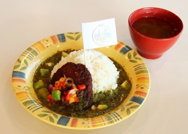 大豆ミートハンバーグ＆ほうれん草カレー