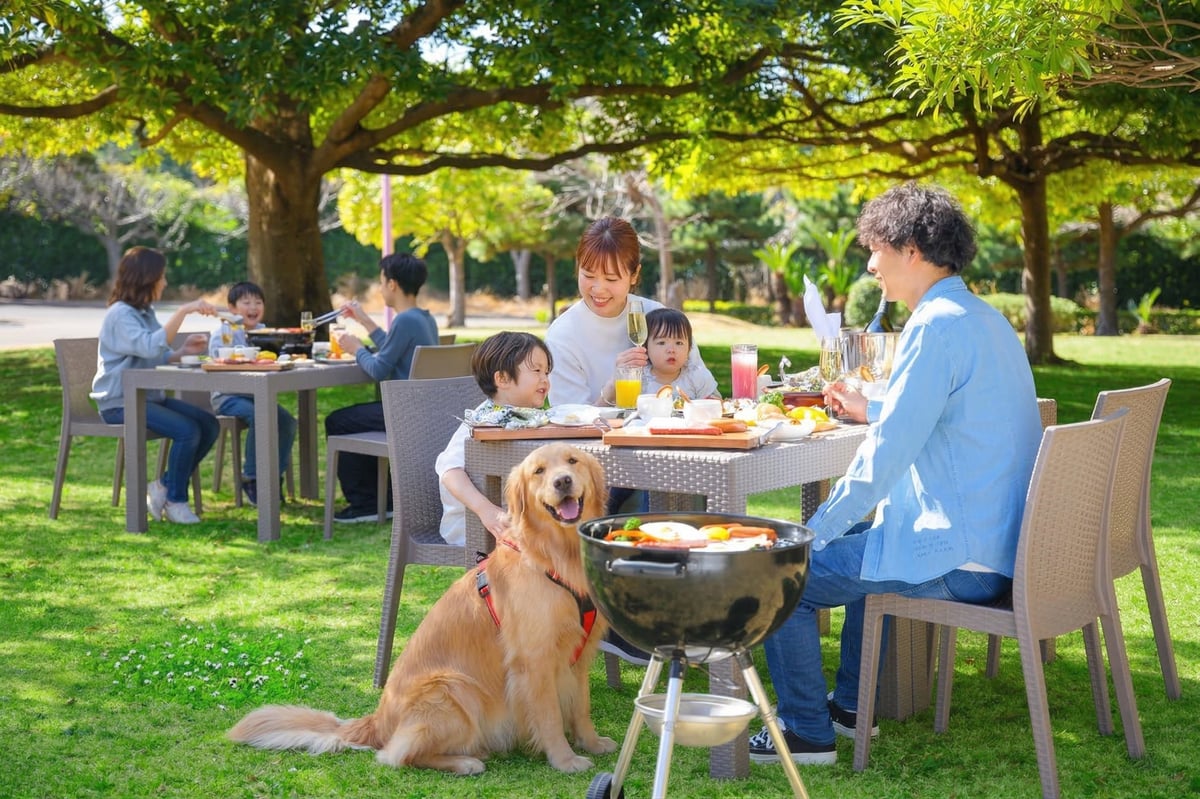 「Shell the Garden」イメージ