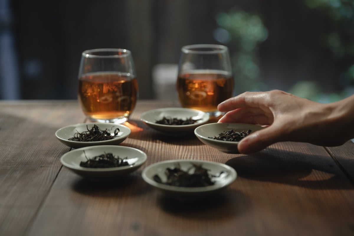 京都・南山城村、中窪製茶園のシングルオリジンの和紅茶です。Photo : Misa Kawara
