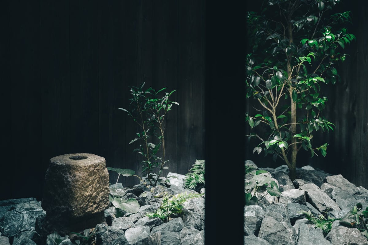 中庭の様子 Photo : Misa Kawara
