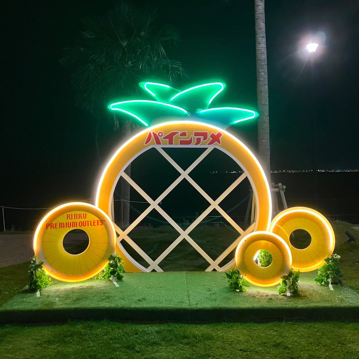 夜は光ります