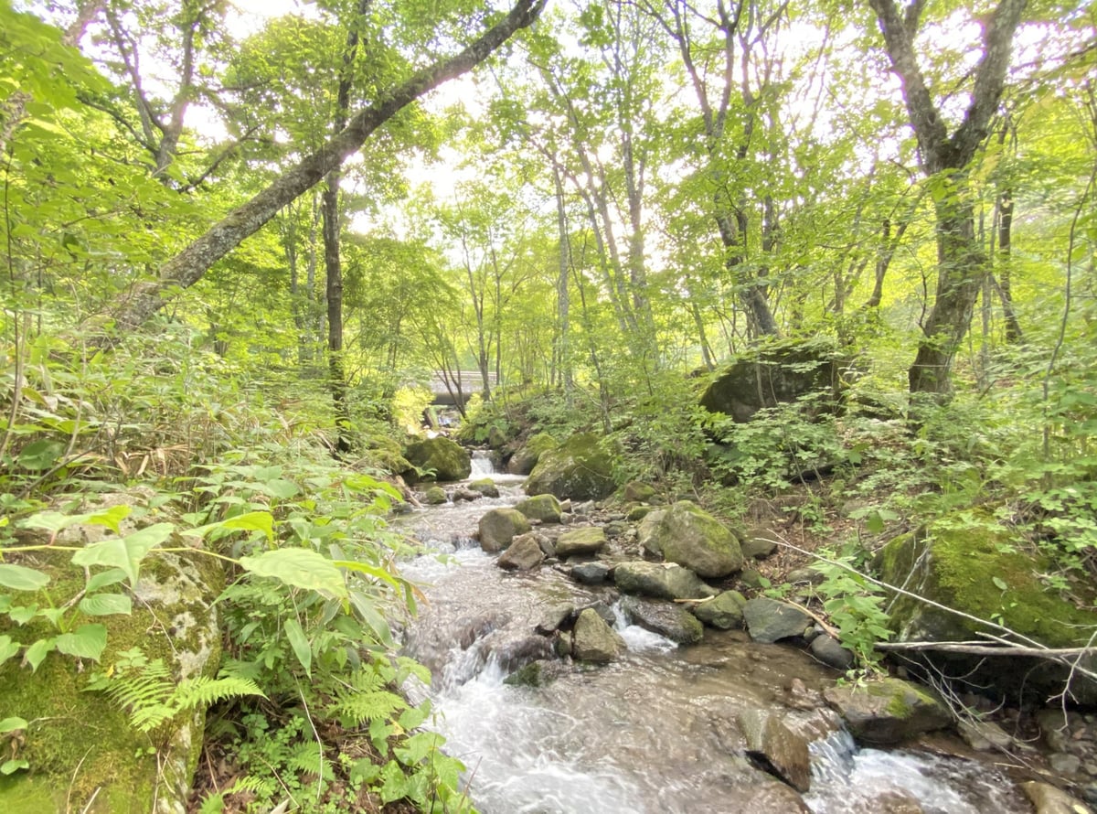 夏でも涼しい嬬恋村(写真は休暇村嬬恋鹿沢 園地)