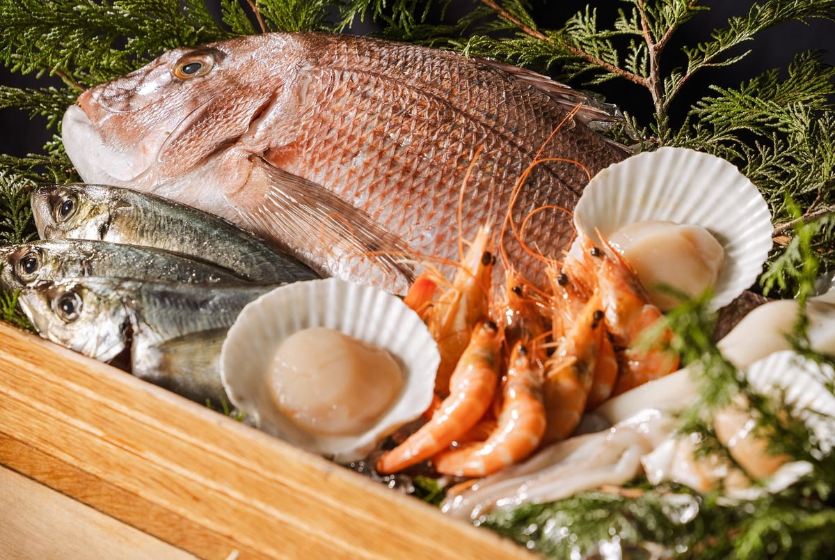鮮魚 イメージ