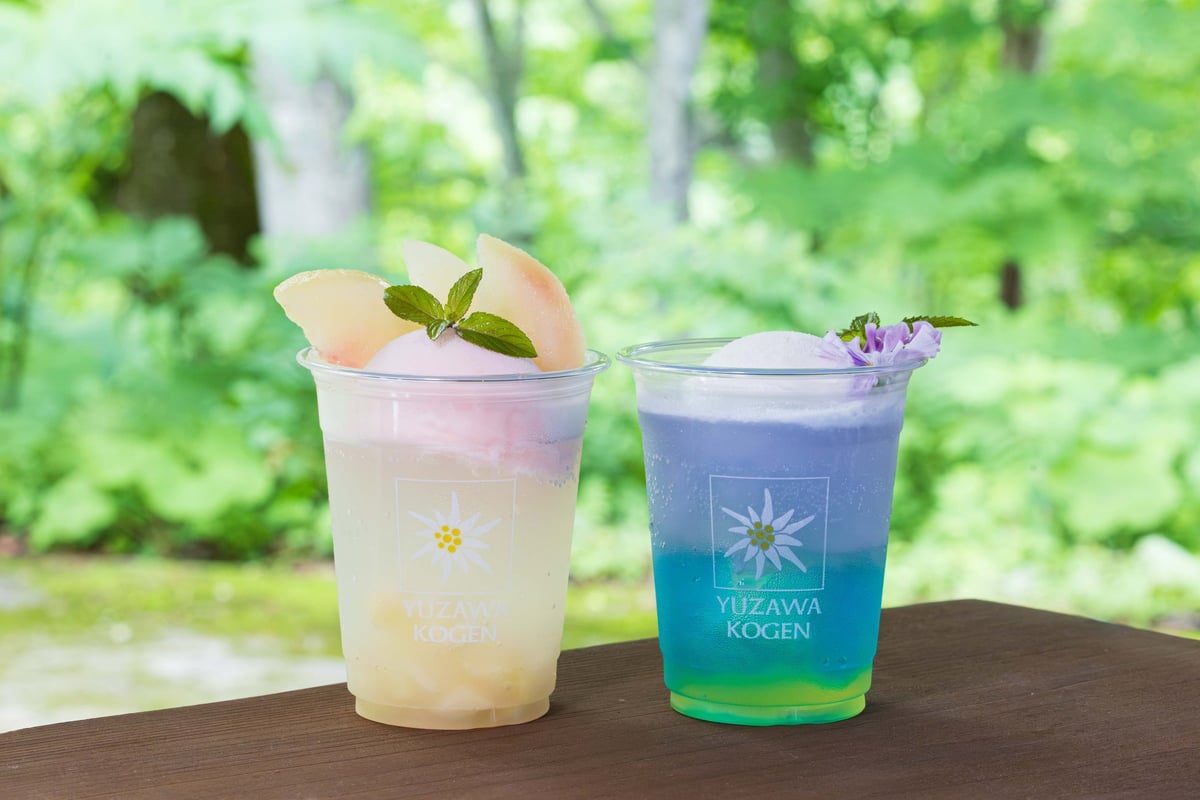 湯沢高原パノラマパークで無料の水遊び広場が登場!夏の絶景とアトラクション満載のサマーフェア2026