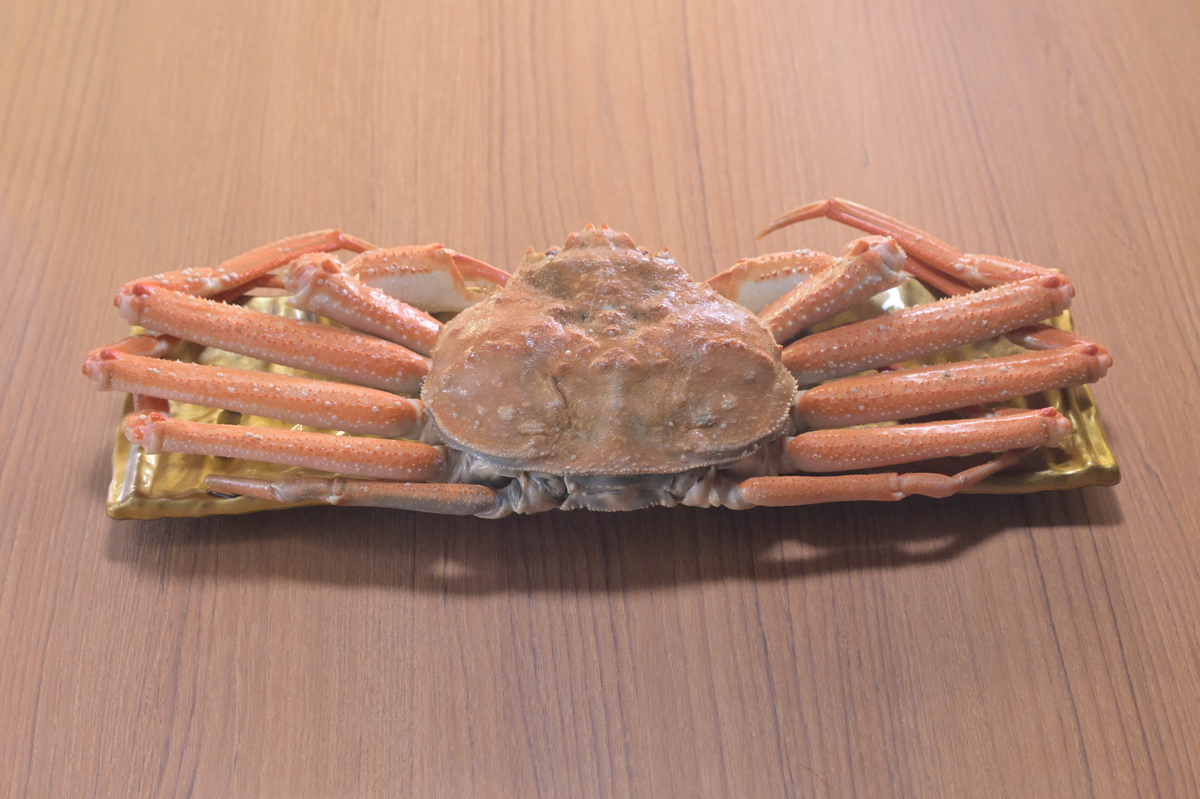 くら寿司「無添蔵 新宿店」が初登場!北海道産地魚と日本茶ペアリングも
