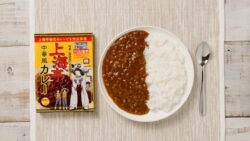 864円！株式会社ジェンコ「機動警察パトレイバーEZY 上海亭中華風カレー」発売