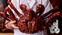 専門漁師が深海で水揚げするイバラガニを主役にしたコース