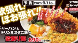 890円！かつや「チャーハンとテリたま混ぜご飯の欲張り飯」新登場