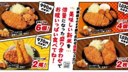 990円のまま唐揚げ6個に！松のや「倍量フェア」10/21〜