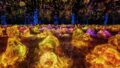 teamLab, Teahouse in a Sea of Light 一滴庵 ©︎ teamLab *Shot in real space. No AI or CGI