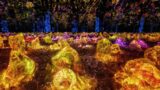 teamLab, Teahouse in a Sea of Light 一滴庵 ©︎ teamLab *Shot in real space. No AI or CGI