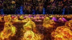 teamLab, Teahouse in a Sea of Light 一滴庵 ©︎ teamLab *Shot in real space. No AI or CGI