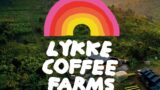 カプセル5種ミックス990円！The POW BAR「Lykke coffee farms」日本展開 10/14〜