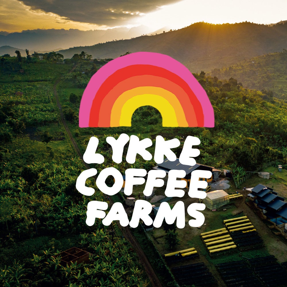 カプセル5種ミックス990円！The POW BAR「Lykke coffee farms」日本展開 10/14〜