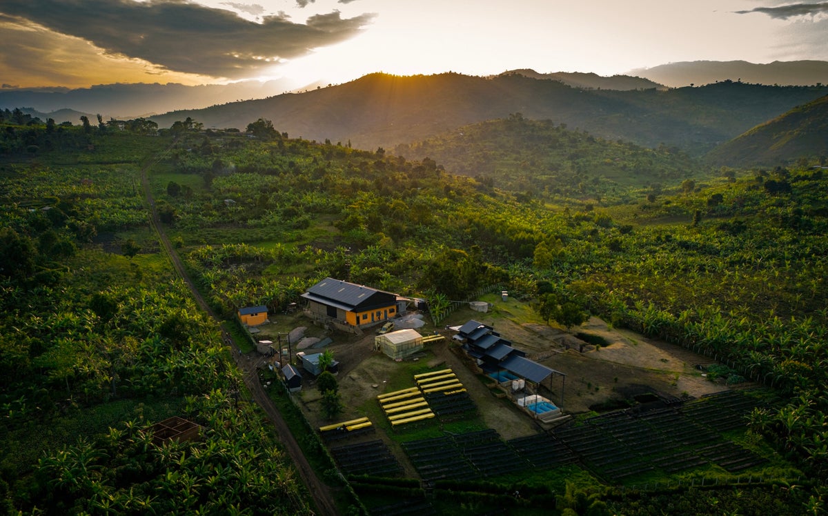 カプセル5種ミックス990円！The POW BAR「Lykke coffee farms」日本展開 10/14〜
