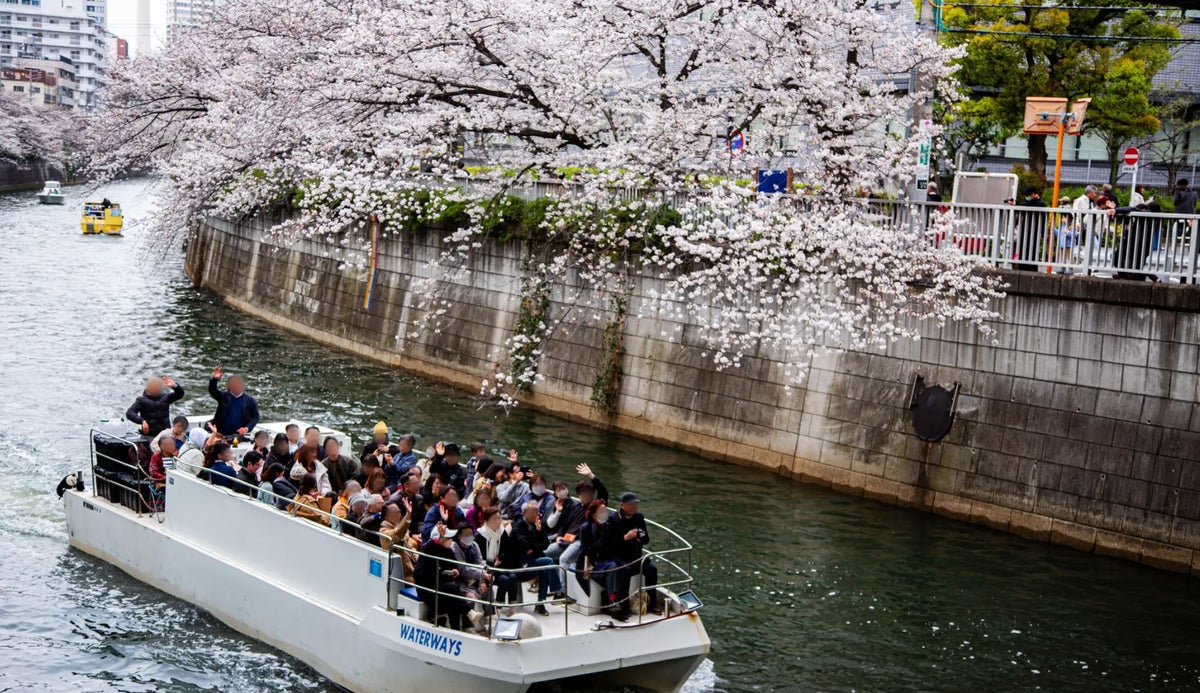 27,500円！東京・晴海の東京ウォータウェイズ「直前割」花火観覧クルーズ 10/24〜